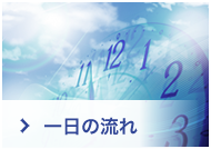 一日の流れ